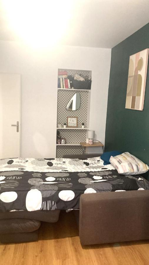 Chambre En Appartement Haussmannien En Centre Ville Saint-Etienne  Extérieur photo