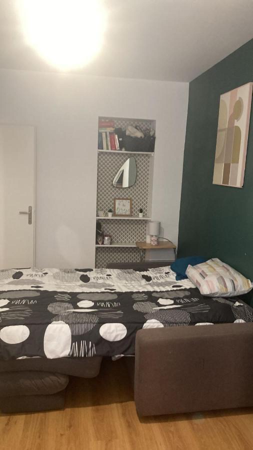 Chambre En Appartement Haussmannien En Centre Ville Saint-Etienne  Extérieur photo